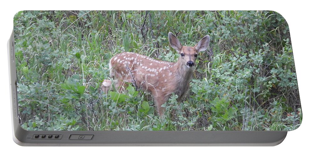 Fawn Portable Battery Charger featuring the photograph Mule Deer Fawn by Amanda R Wright