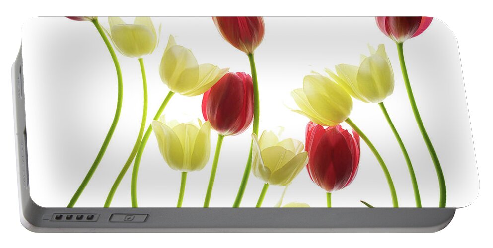 Flowers Portable Battery Charger featuring the photograph Multi Colored Tulips by Rebecca Cozart