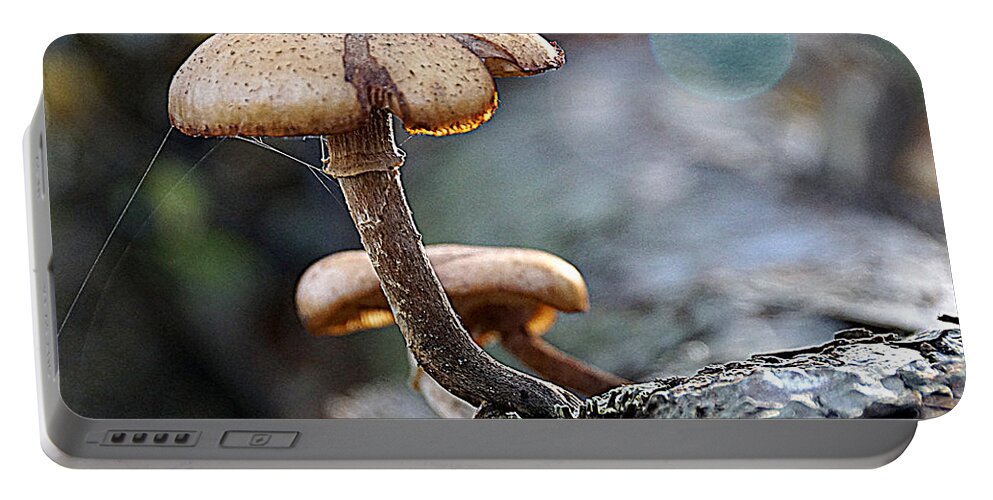 Nature Portable Battery Charger featuring the photograph Mushroom by Jolly Van der Velden