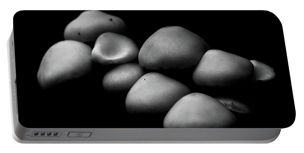 Mushroom Portable Battery Charger featuring the photograph Mushrooms in the Dark by Martin Vorel Minimalist Photography