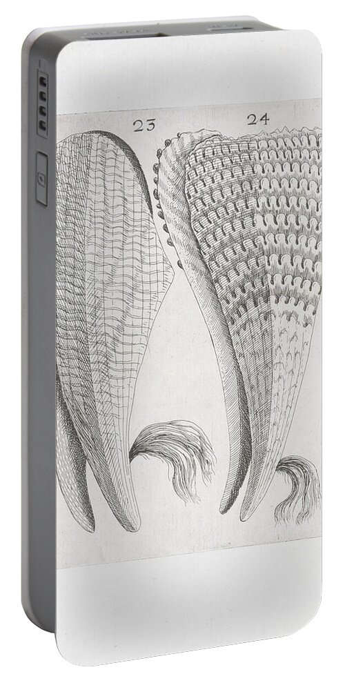 Mussel Portable Battery Charger featuring the digital art Mussel Sketch - 1681 by Kim Kent