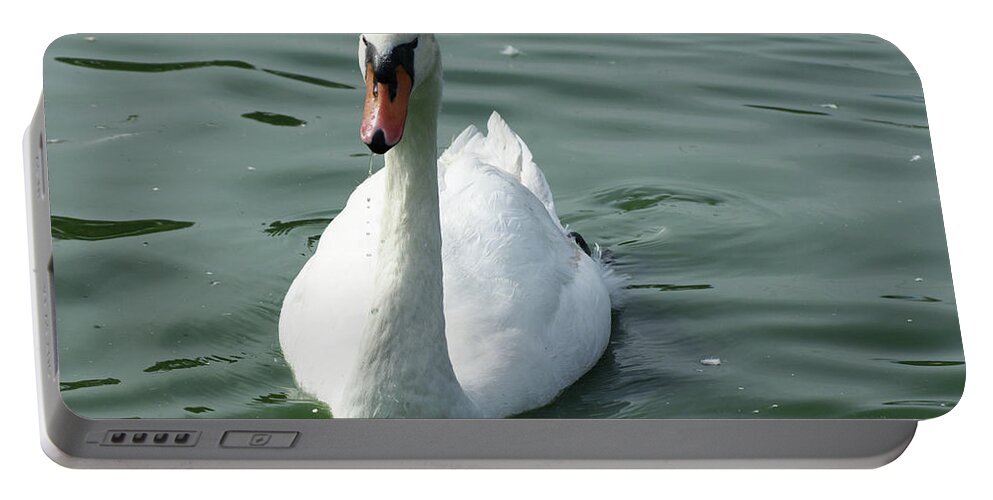  Portable Battery Charger featuring the photograph Mute Swan by Heather E Harman