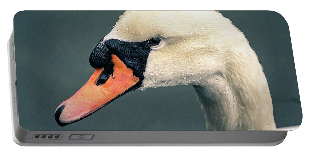 Swan Portable Battery Charger featuring the photograph Mute swan with water droplets. by Alyssa Tumale