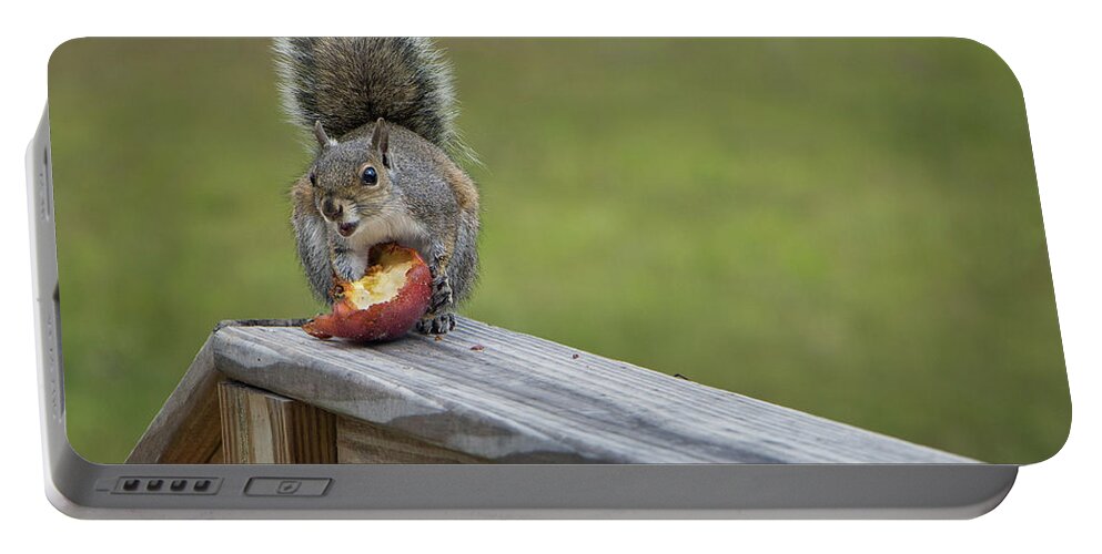 Squirrel Portable Battery Charger featuring the photograph My Apple by M Kathleen Warren
