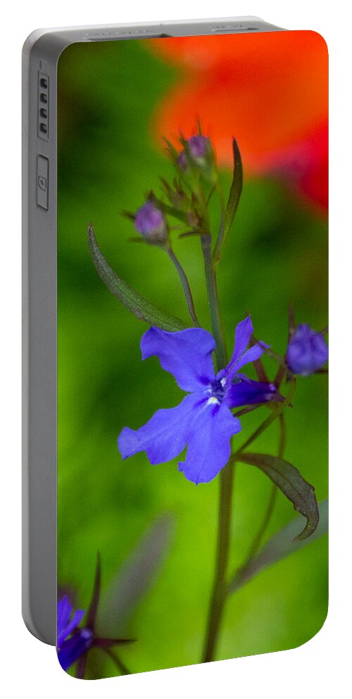 Flower Pot Portable Battery Charger featuring the photograph My Flowers by Linda Bonaccorsi