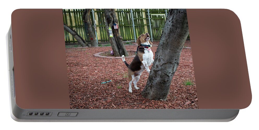 Dog Portable Battery Charger featuring the photograph My Yard by C Winslow Shafer