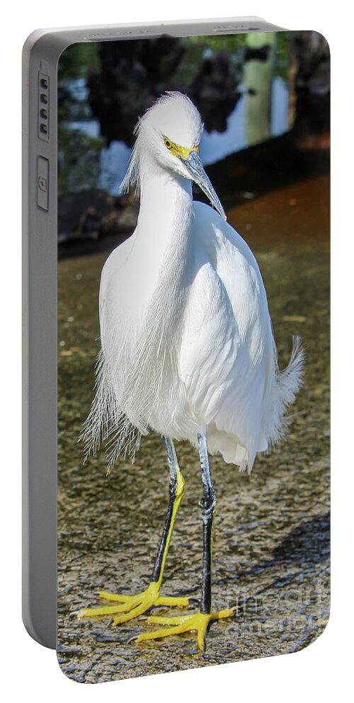 Snowy Egret Portable Battery Charger featuring the photograph My Yellow Shoes by Joanne Carey