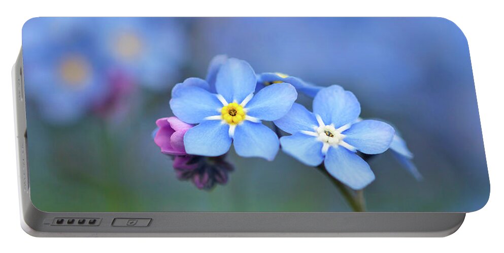 Flower Portable Battery Charger featuring the photograph Myosotis by Maria Meester