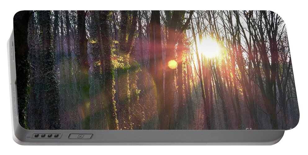 Nature Portable Battery Charger featuring the photograph Mystical Forest And Sun's Rays by Leonida Arte
