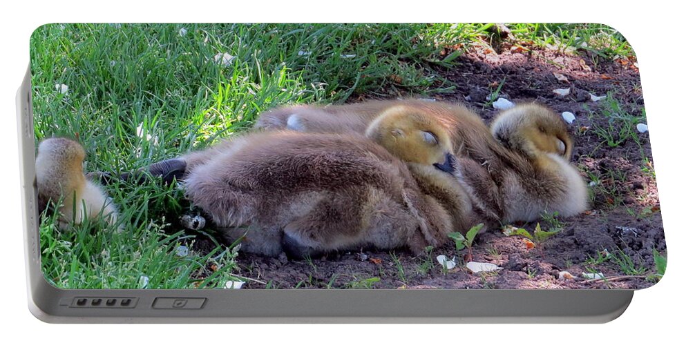 Canada Goose Portable Battery Charger featuring the photograph Nap time by Jean Evans