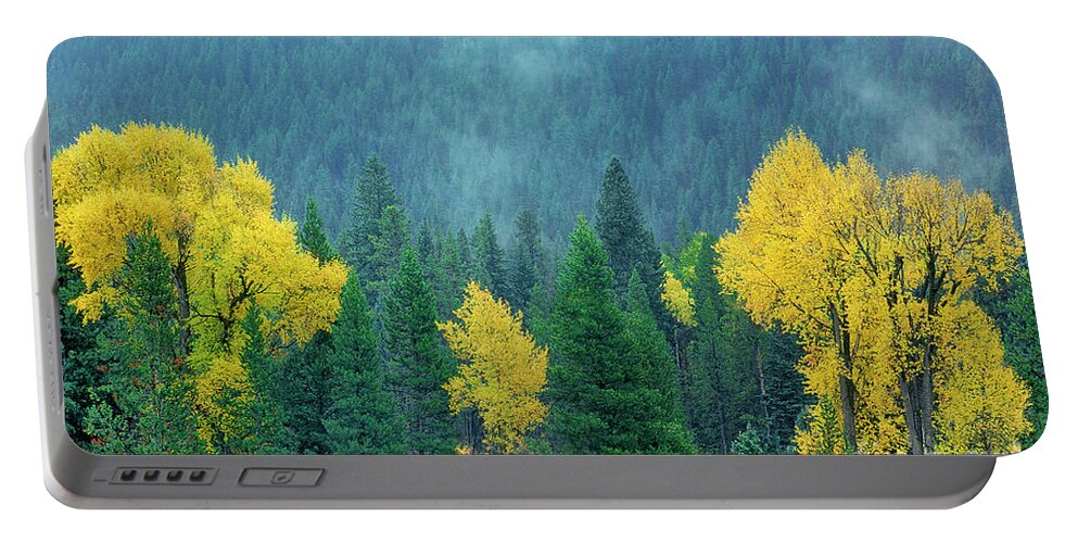 Dave Welling Portable Battery Charger featuring the photograph Narrowleaf Cottonwoods And Blur Spruce Trees In Grand Tetons by Dave Welling