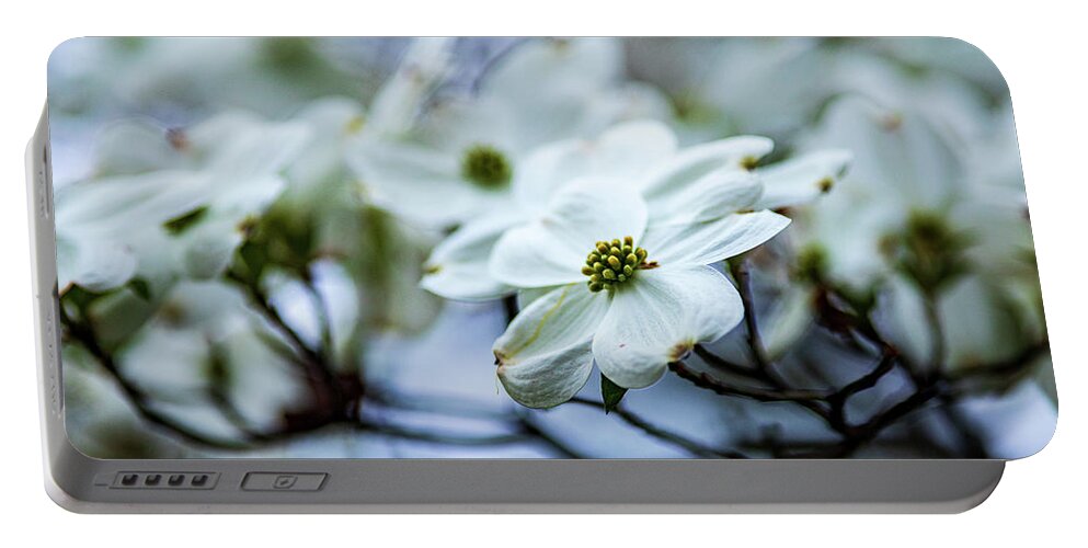 White Flower Portable Battery Charger featuring the photograph Nature Photography - Cloud Nine Dogwood Tree by Amelia Pearn