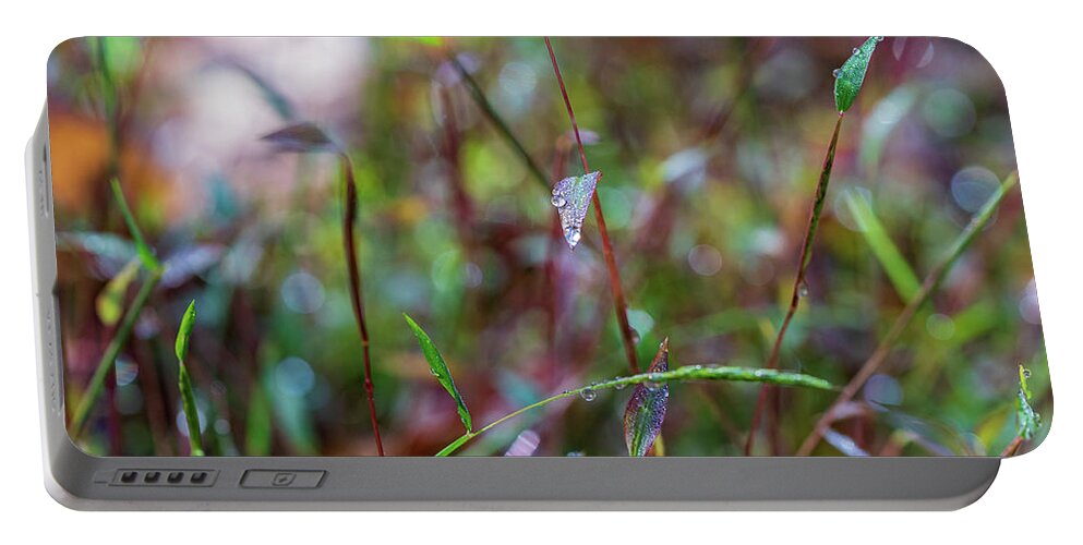 Fall Portable Battery Charger featuring the photograph Nature Photography - Fall Grass by Amelia Pearn
