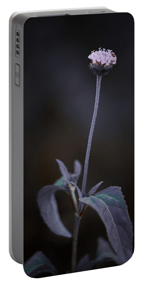 Flowers Portable Battery Charger featuring the photograph Nature Pic 3 by Gian Smith
