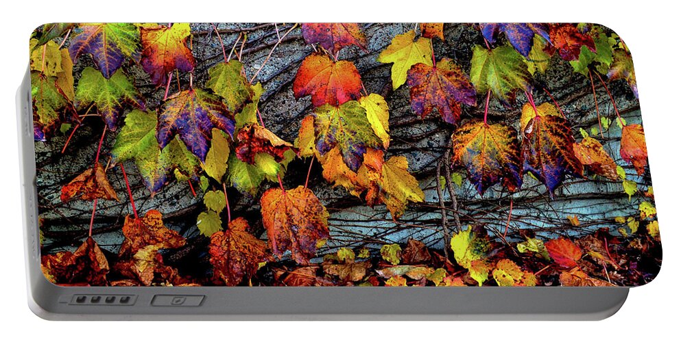 Fall Portable Battery Charger featuring the photograph Nature's Garland by Susie Loechler