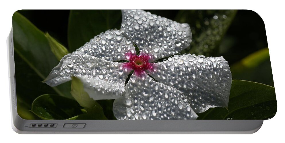 Vinca Periwinkle Portable Battery Charger featuring the photograph Natures Glitter by Joy Watson