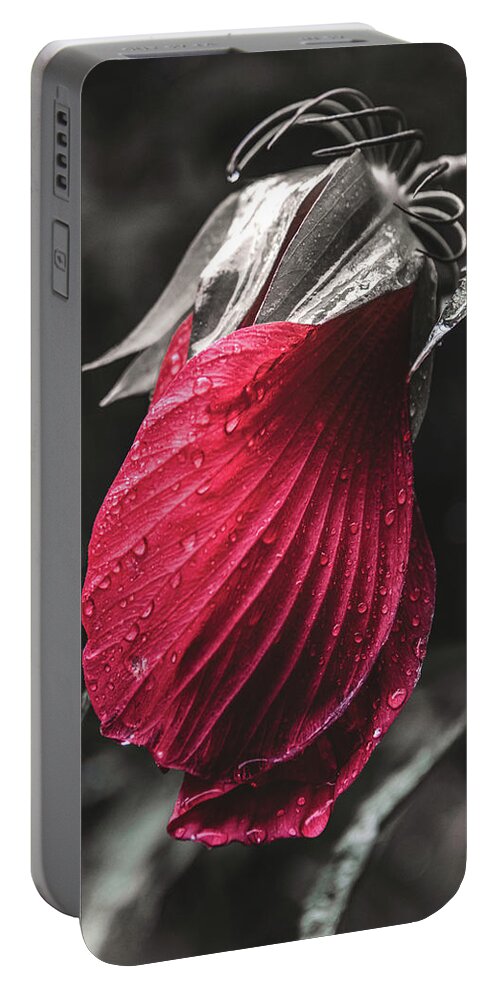 Nature Portable Battery Charger featuring the photograph Nature's Tears in Red by Tricia Louque