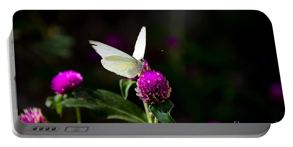 Butterfly Portable Battery Charger featuring the digital art Nectar for Lunch by Tammy Keyes