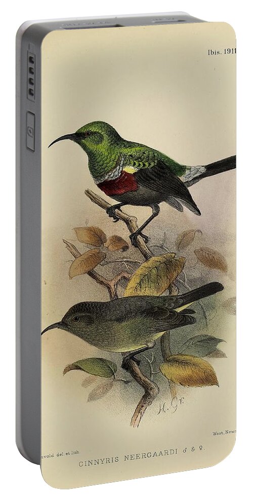 Birds Portable Battery Charger featuring the mixed media Neergaard's Sunbird, cinnyris neergaardi by World Art Collective