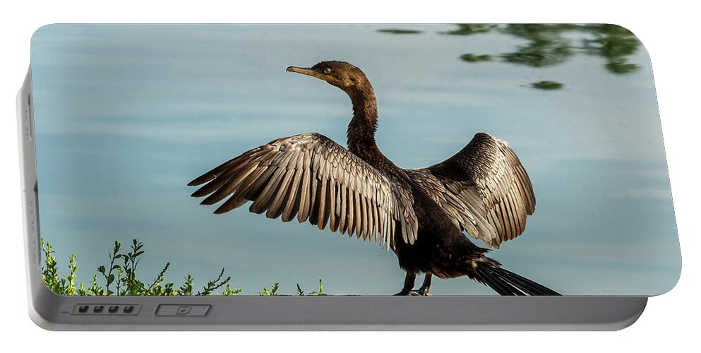 Animal Portable Battery Charger featuring the photograph Neotropic Cormorant with Wings Spread by Jeff Goulden