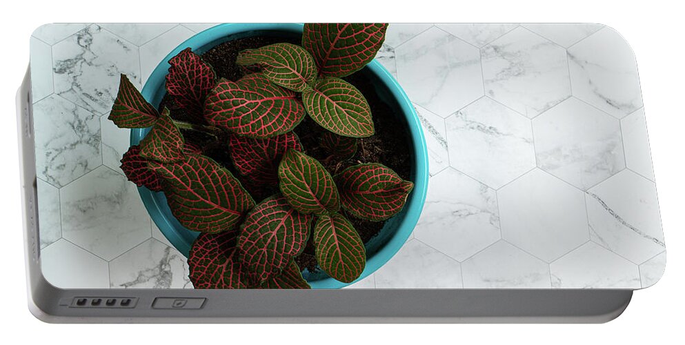 Photograph Portable Battery Charger featuring the photograph Nerve Plant by Jennifer Walsh