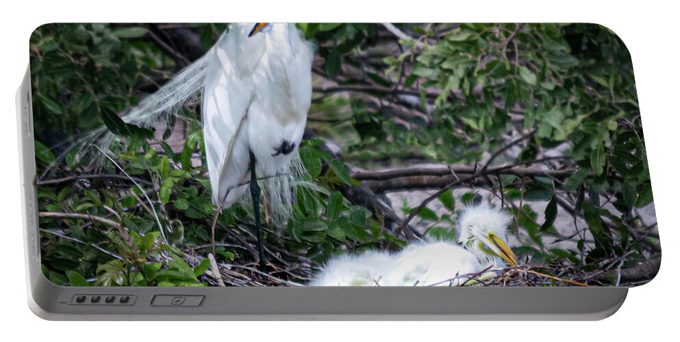Susan Molnar Portable Battery Charger featuring the photograph Nesting Egret with Chicks by Susan Molnar