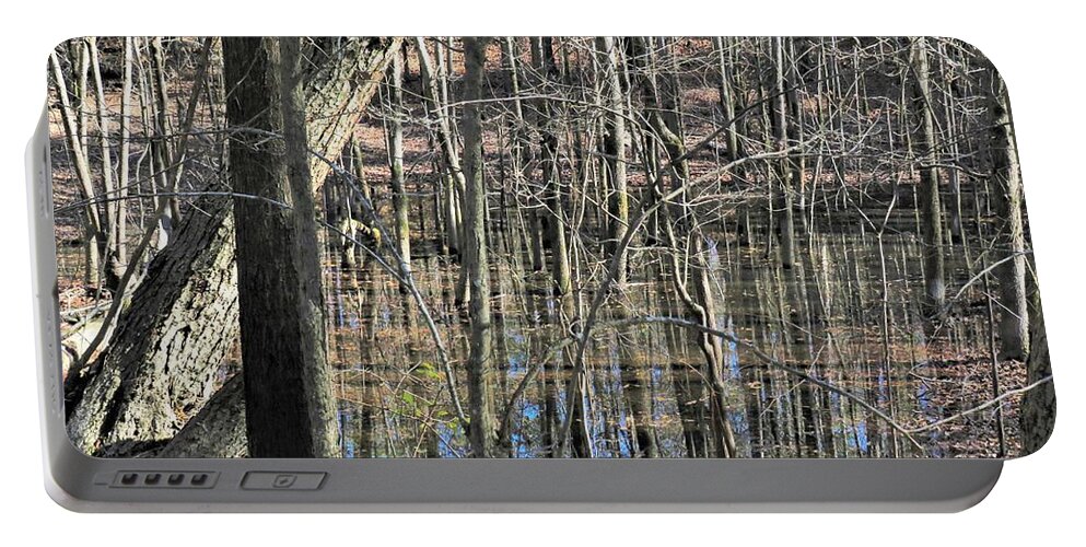 Trees Portable Battery Charger featuring the photograph Neverending Trees by Ed Williams