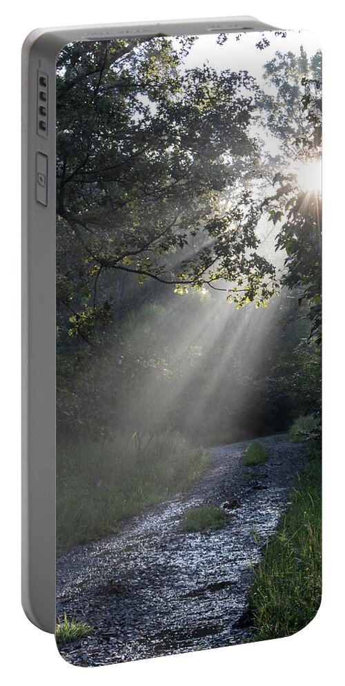 Trees Portable Battery Charger featuring the photograph New Beginnings by Elaine Malott