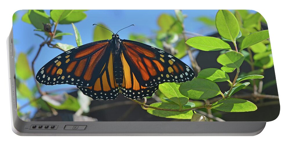 Butterfly Portable Battery Charger featuring the photograph Newborn Monarch by Aimee L Maher ALM GALLERY