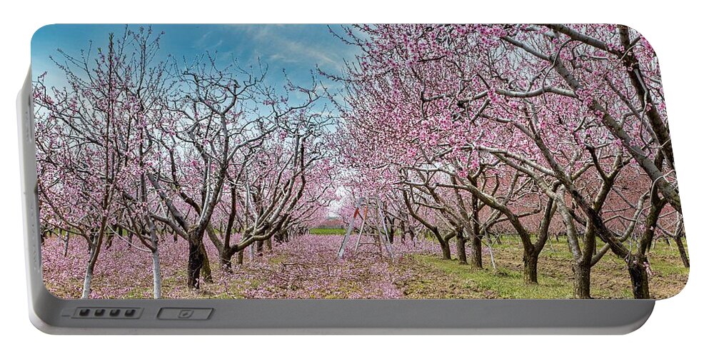 Blossoms Portable Battery Charger featuring the photograph Niagara's Blossom Trail - Trimming Time by Marilyn Cornwell