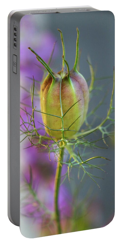 Flower Portable Battery Charger featuring the photograph Nigella Bud II by Mary Anne Delgado