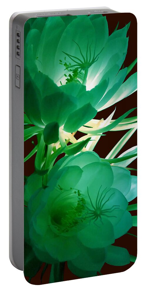Flowers Portable Battery Charger featuring the photograph Night Blooming Cereus by Vallee Johnson