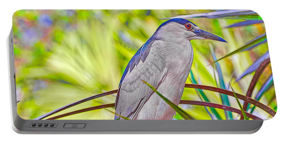  Birds Portable Battery Charger featuring the photograph Night Heron Day Magic by Judy Kay
