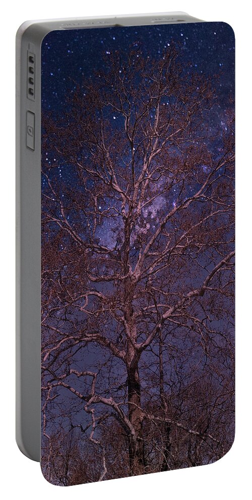 Tree Portable Battery Charger featuring the photograph Night Sky Tree by Russ Considine