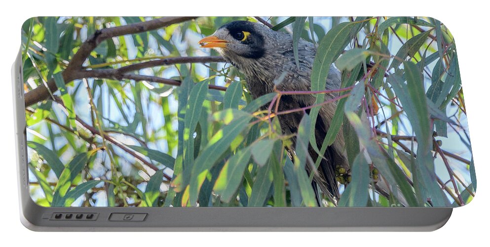Bird Portable Battery Charger featuring the photograph Noisy Miner 01 by Werner Padarin