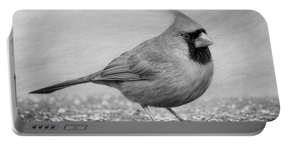 Cardinal Portable Battery Charger featuring the photograph Northern Cardinal BW by Susan Candelario