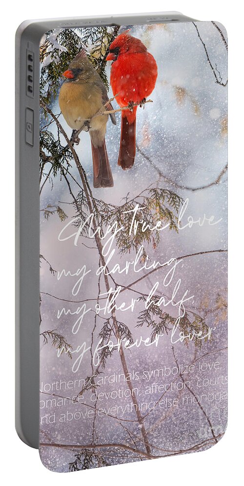 Love Portable Battery Charger featuring the photograph Northern Cardinal Love Story by Sandra Rust