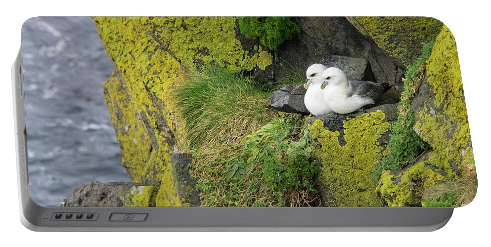 Northern Fulmar Portable Battery Charger featuring the photograph Northern Fulmar Pair on Cliff Wall Perch in Ireland by Nancy Gleason