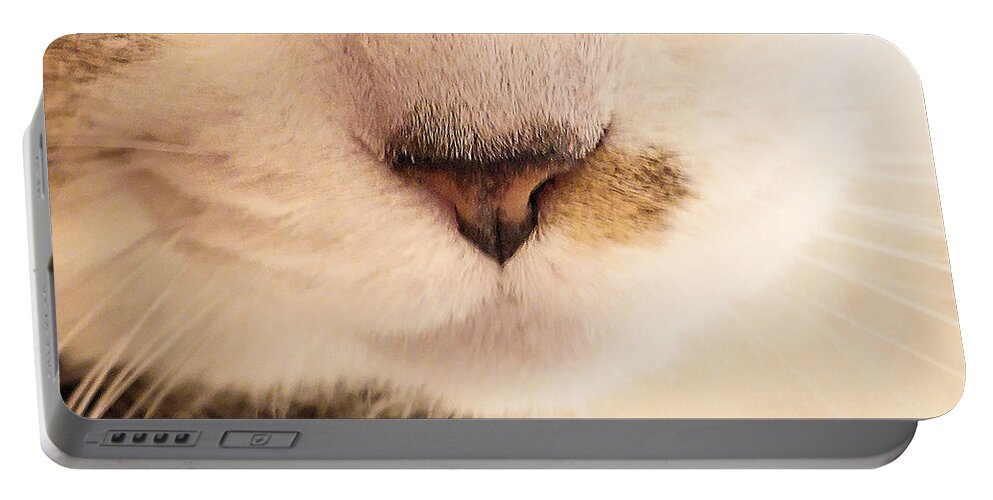 Cat Portable Battery Charger featuring the photograph Nose and Whiskers by Steve Ember
