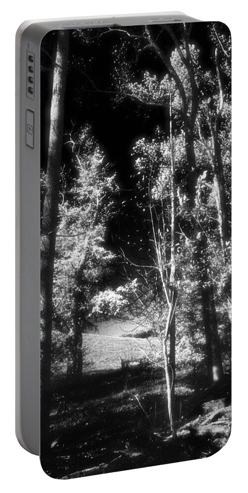 Nature Portable Battery Charger featuring the photograph November Woods No. 3 by Steve Ember
