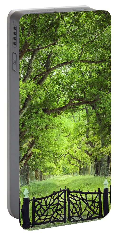 Oak Portable Battery Charger featuring the photograph Oak Tree Alley in Summer by Nicklas Gustafsson