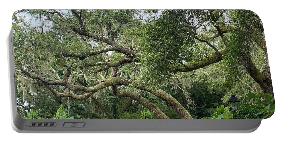 Oak Tree Portable Battery Charger featuring the photograph Oak Trees in the Garden by Mary Anne Delgado
