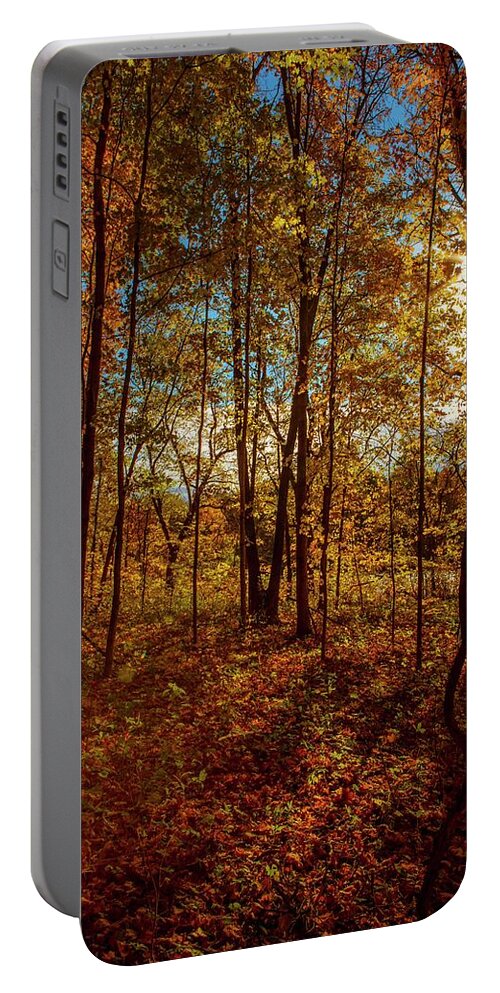 Moraine St Pk Portable Battery Charger featuring the photograph October Lakeside Lights by Ray Silva