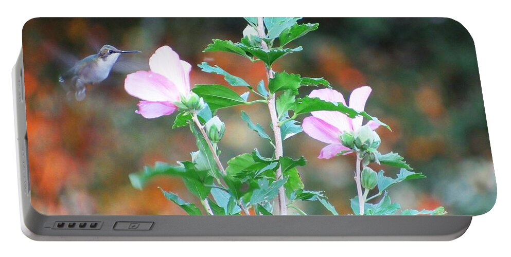 #hummingbird #midair #flying #roseofsharon #early #morning #northgeorgia #frozeninair Portable Battery Charger featuring the photograph Oh Boy Breakfast by Belinda Lee