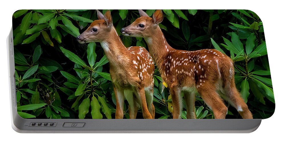 Deer Portable Battery Charger featuring the photograph Oh, deer... We have been spotted. by Shelia Hunt