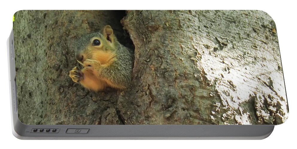 Squirrel Portable Battery Charger featuring the photograph Oh my Who Are You by C Winslow Shafer