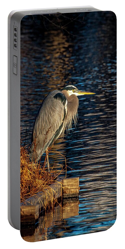 Bird Portable Battery Charger featuring the photograph Old Blue by Cathy Kovarik