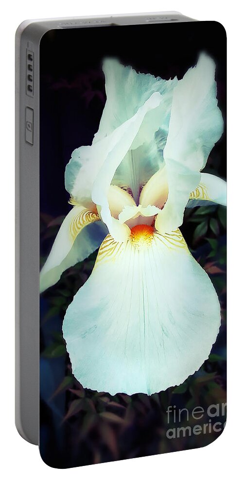 Iris Portable Battery Charger featuring the photograph Old Memories Treasured and The New Embraced by Janie Johnson