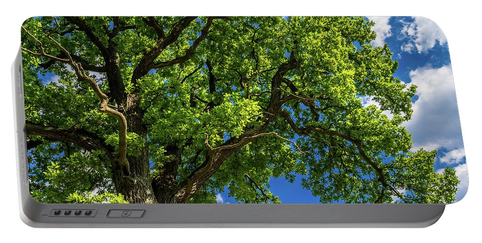 Oak Portable Battery Charger featuring the photograph Old Oak Tree With Green Leaves And Blue Sky by Andreas Berthold