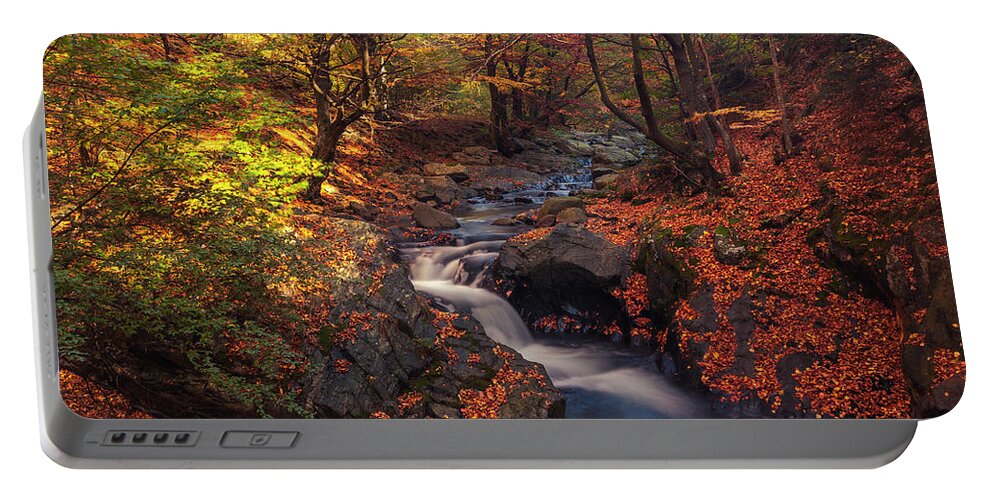 Mountain Portable Battery Charger featuring the photograph Old River by Evgeni Dinev